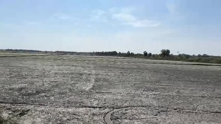 Đất nông nghiệp 100 công mặt tiền lớn xã Thạnh Lợi giá 9 tỷ - Cập bến ghe lúa thuận tiện!