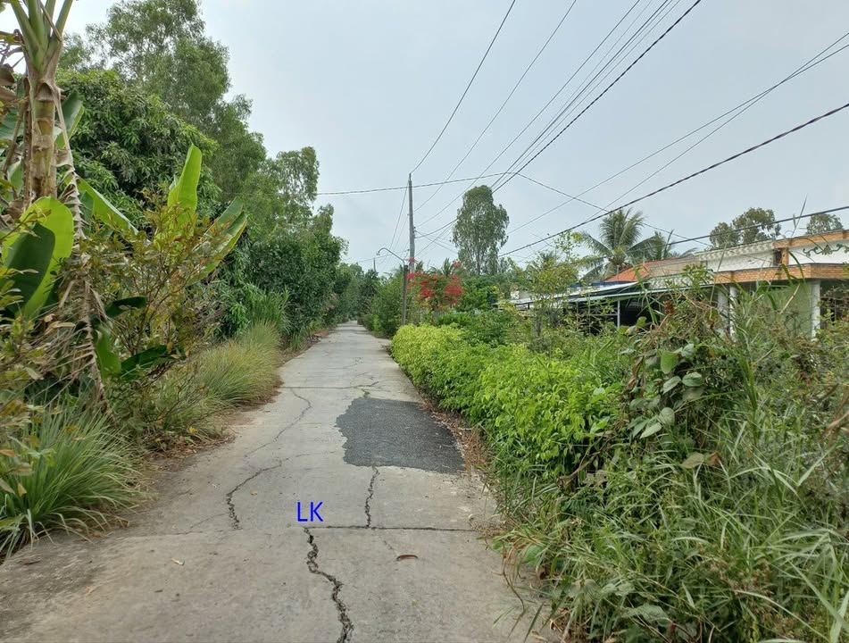 Đất nền 12m x 72m tại xã Mỹ Quý, Đồng Tháp - Giá 600 triệu, Sổ đỏ chính chủ!