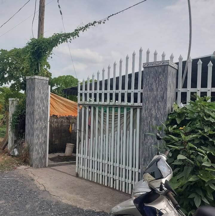 Đất Farm Tân Khánh Trung 15.237m² giá 1.3 tỷ - Cơ hội đầu tư tuyệt vời!