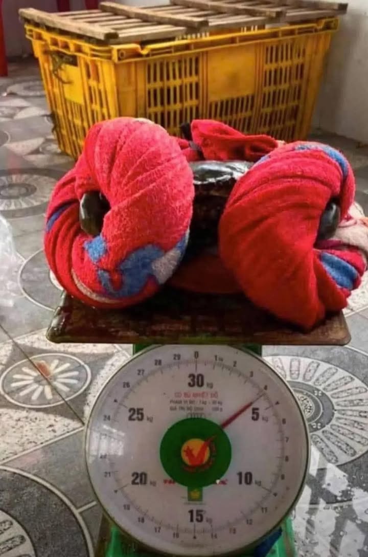 Đất nền xã Phú Trung 3ha giá 3 tỷ - Cơ hội đầu tư hấp dẫn!