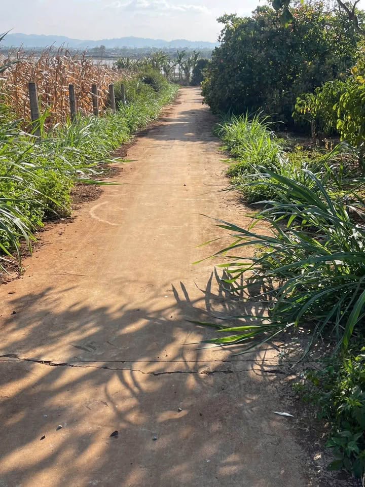 Đất nền Quỳnh Ngọc, Krông A Na 180m² giá chỉ 195 triệu - Cơ hội đầu tư tuyệt vời!