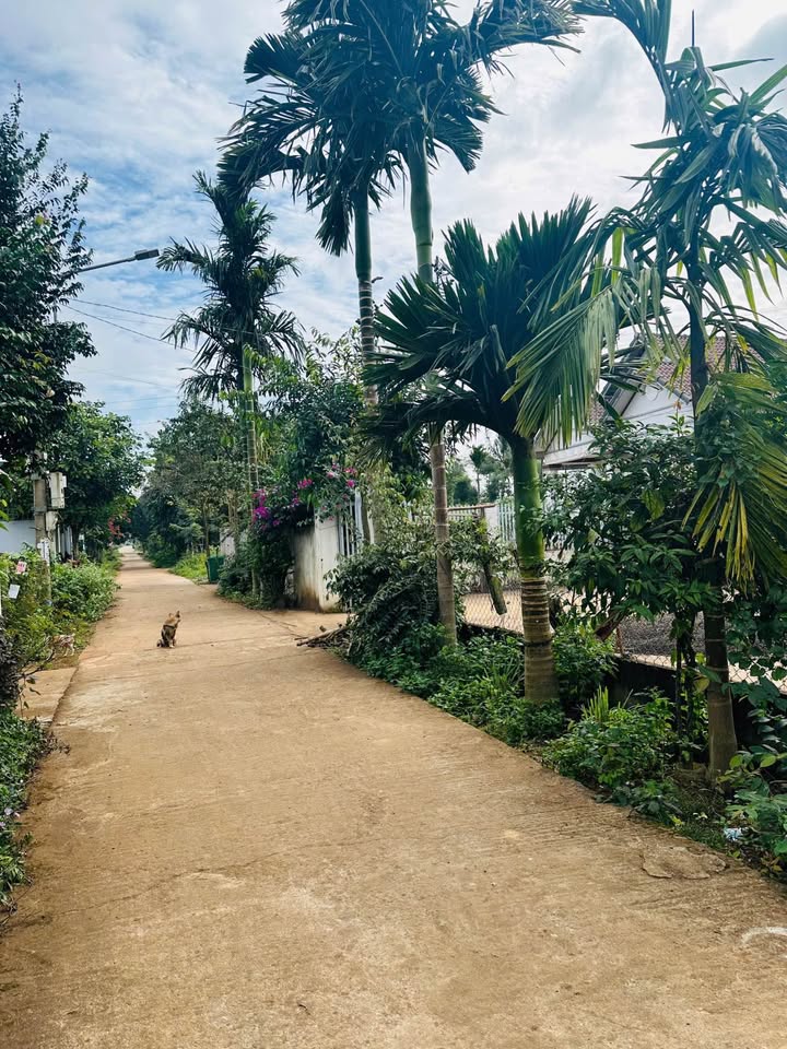 Đất nền KA9 Ea Tu 150m² giá chỉ 1.6 tỷ - Cơ hội đầu tư tuyệt vời!