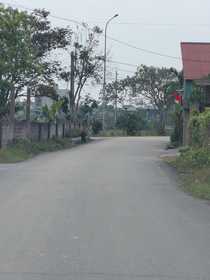 Đất nền Tân Lộc, Trần Phú, 192m² giá 2.5 tỷ - Cơ hội đầu tư tuyệt vời!