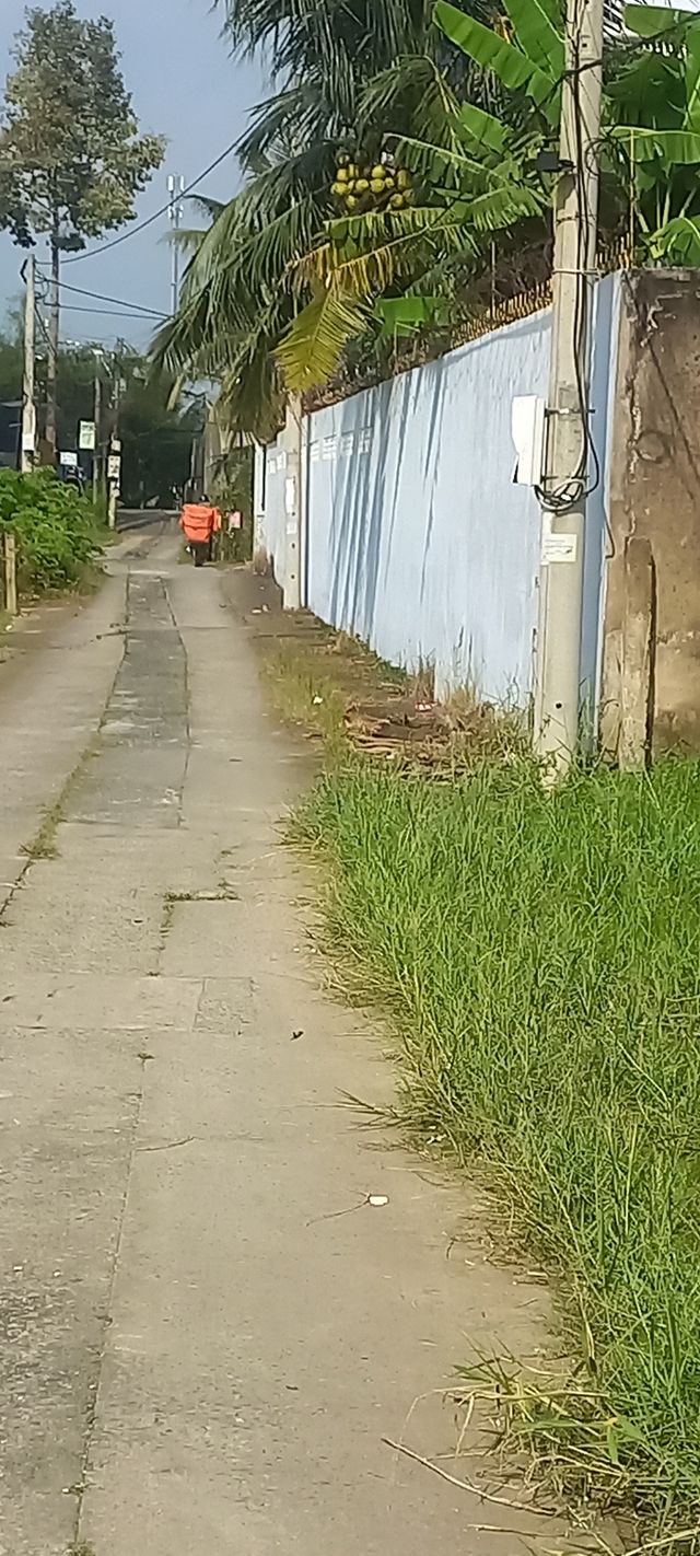 Đất thổ cư 100m² tại Mỹ Phong, Tiền Giang - Giá chỉ 850 triệu, sẵn sàng xây dựng!