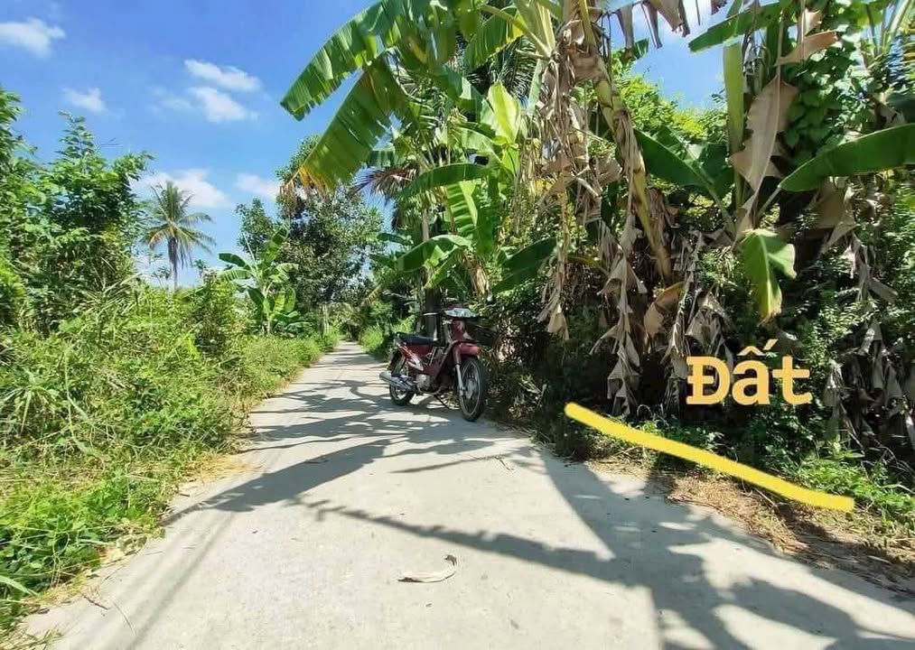 Đất nền liền kề tại Phong Mỹ, Giồng Trôm, Bến Tre 218m² giá chỉ 700 triệu - Cơ hội đầu tư tuyệt vời!