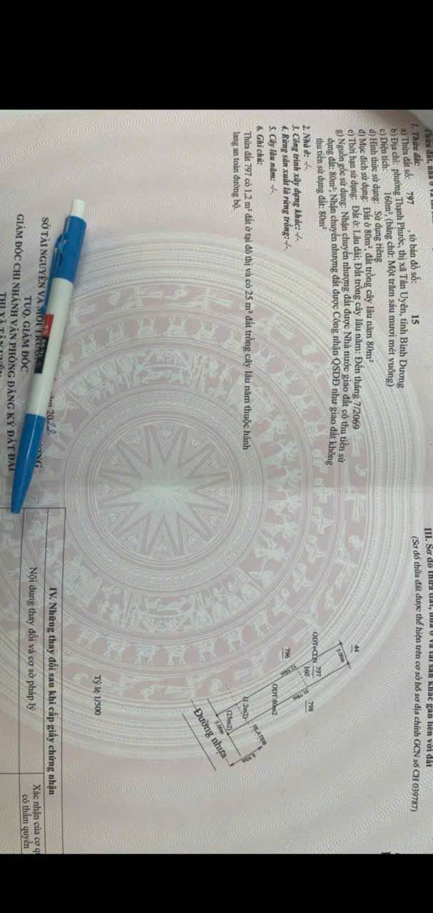 Đất nền Thạnh Phước Tân Uyên 160m² giá 2.25 tỷ - Kinh doanh thuận lợi!