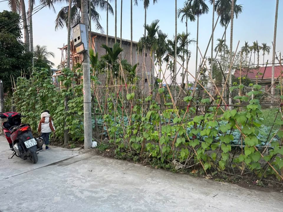 Đất nền Đồng Xuân 1 - An Trường - 86m² chỉ hơn 1 tỷ - Vị trí đẹp, tiềm năng đầu tư!