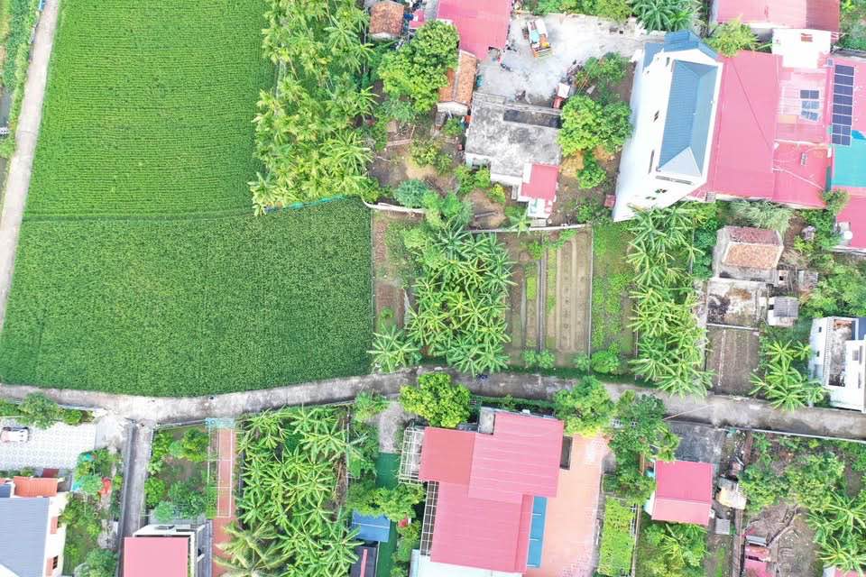 Đất thổ cư Kiến Minh, Thủy Nguyên 1050m² giá 3 tỷ - Đầu tư sinh lời ngay!