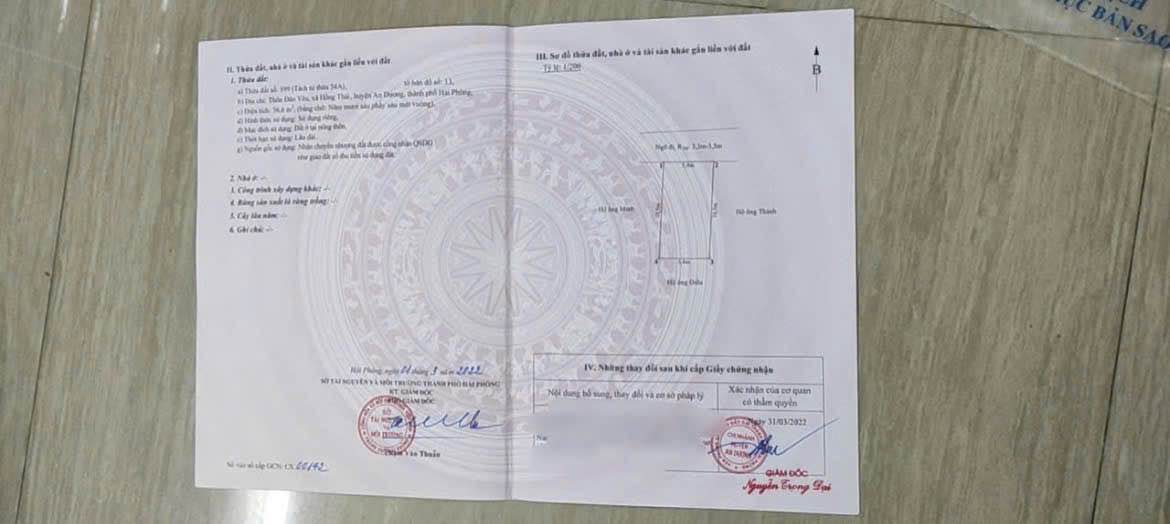 Đất nền Đào Yêu - Hồng Thái 56.6m² giá 900 triệu - Cơ hội đầu tư hấp dẫn!