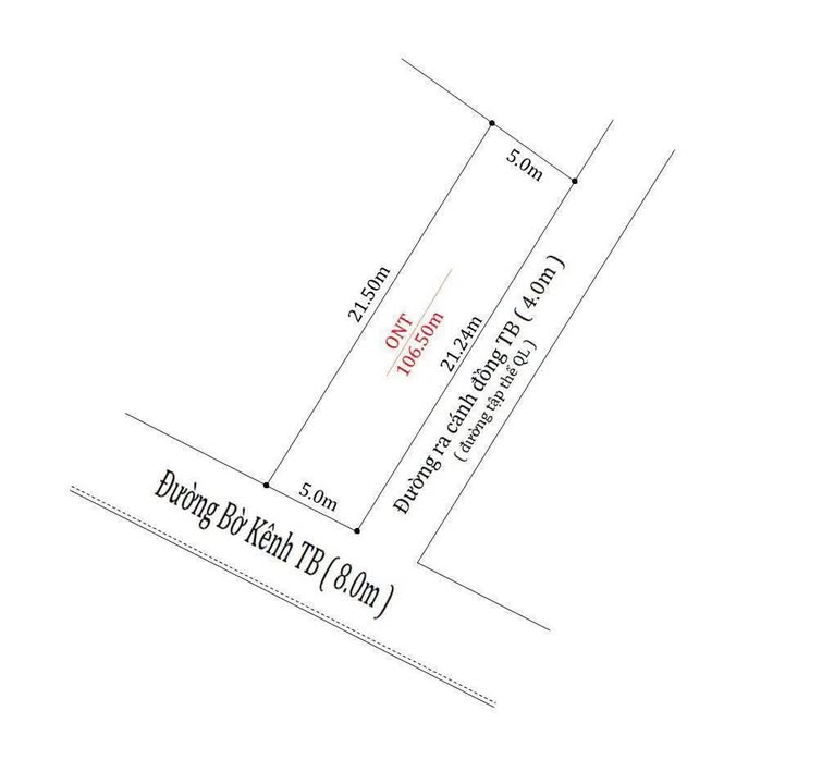 Đất nền Tam Cường, Tiên Lãng 136m² giá chỉ 1.2 tỷ - Đầu tư sinh lời ngay!