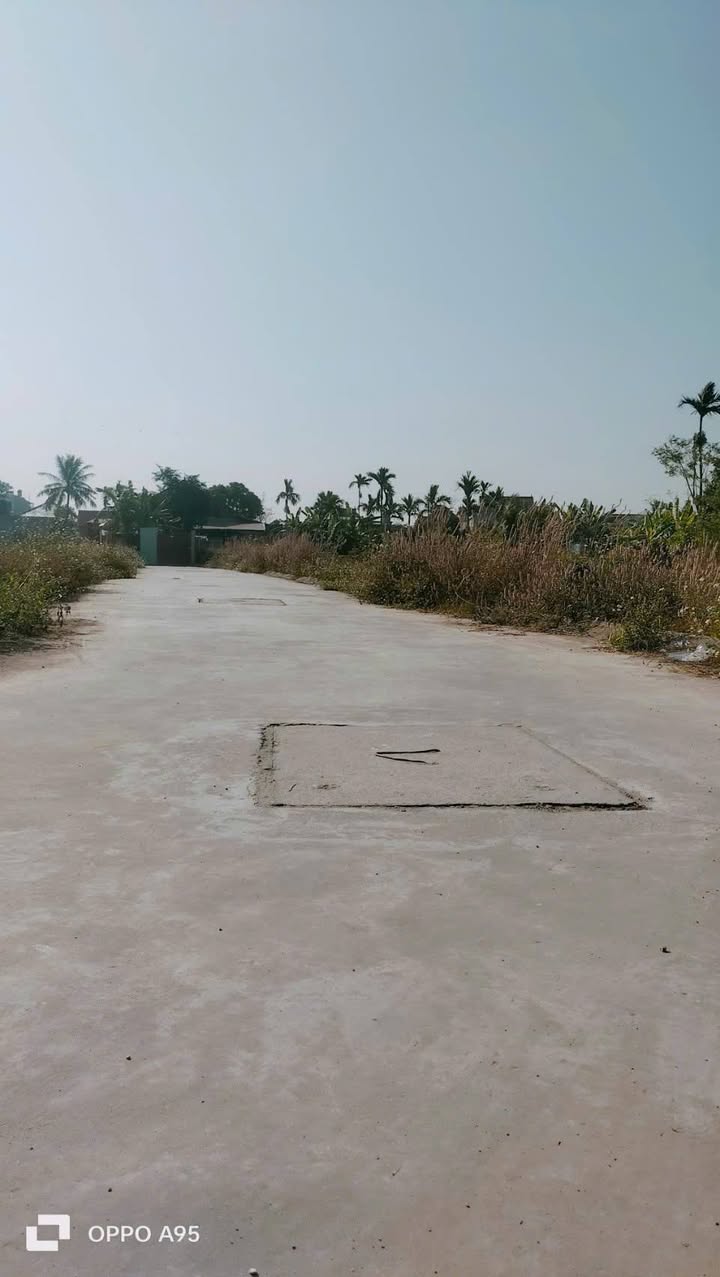 Đất liền kề Áng Sơn, An Lão 80m² - Vị trí đẹp, gần trường học!