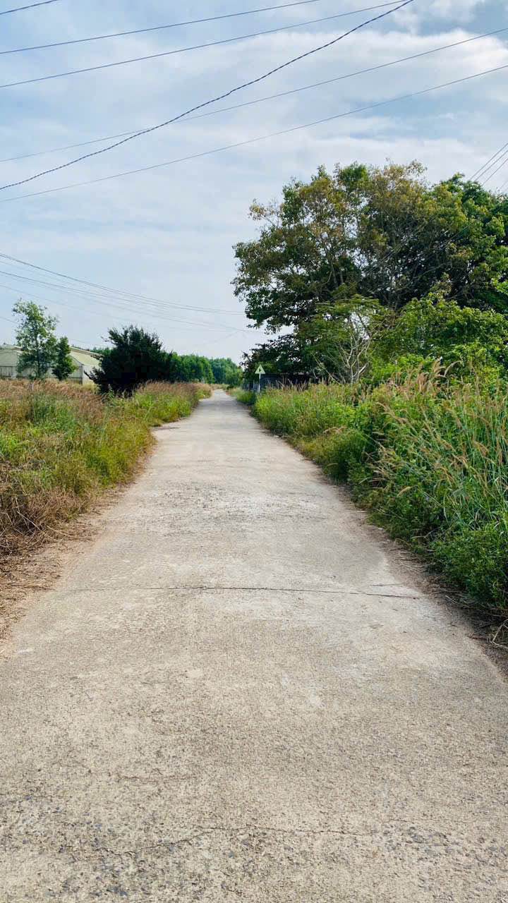 Đất nền 95m² Tân Thành, Bà Rịa - Vũng Tàu chỉ 295 triệu - Pháp lý rõ ràng, sẵn sàng giao dịch!