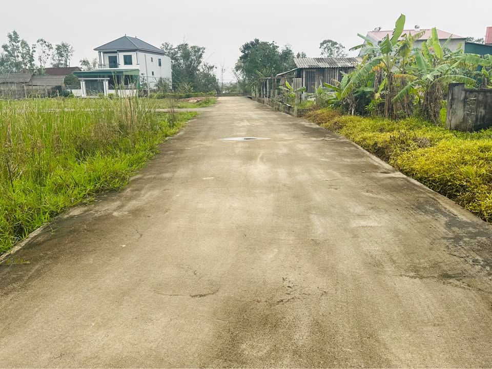 Đất thổ cư thôn Văn Minh, Xã Thạch Đài 140m² giá 1 tỷ - Mặt tiền đường Nguyễn Xí, cơ hội đầu tư tuyệt vời!