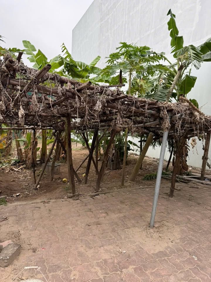 Đất nền tại Ngo Xá Phật Tích, Từ Sơn 81m² giá 4 tỷ - Đầu tư sinh lời ngay!