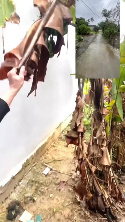 Nhà riêng tại Hòa Thọ Tây, Đà Nẵng 191m² giá 3.39 tỷ - Mua 1 tặng 2 lô đất!