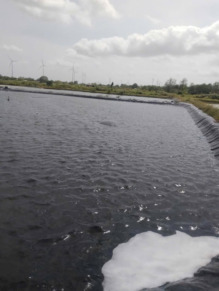 Đất nông nghiệp 65.000m² tại Hòa Đông, Vĩnh Châu - Giá tốt cho nhà đầu tư!