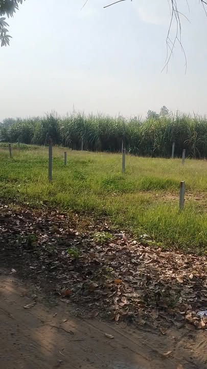 Đất thổ cư 75m² tại Bình Minh, Vĩnh Long - Giá chỉ 839 triệu, hỗ trợ trả góp!