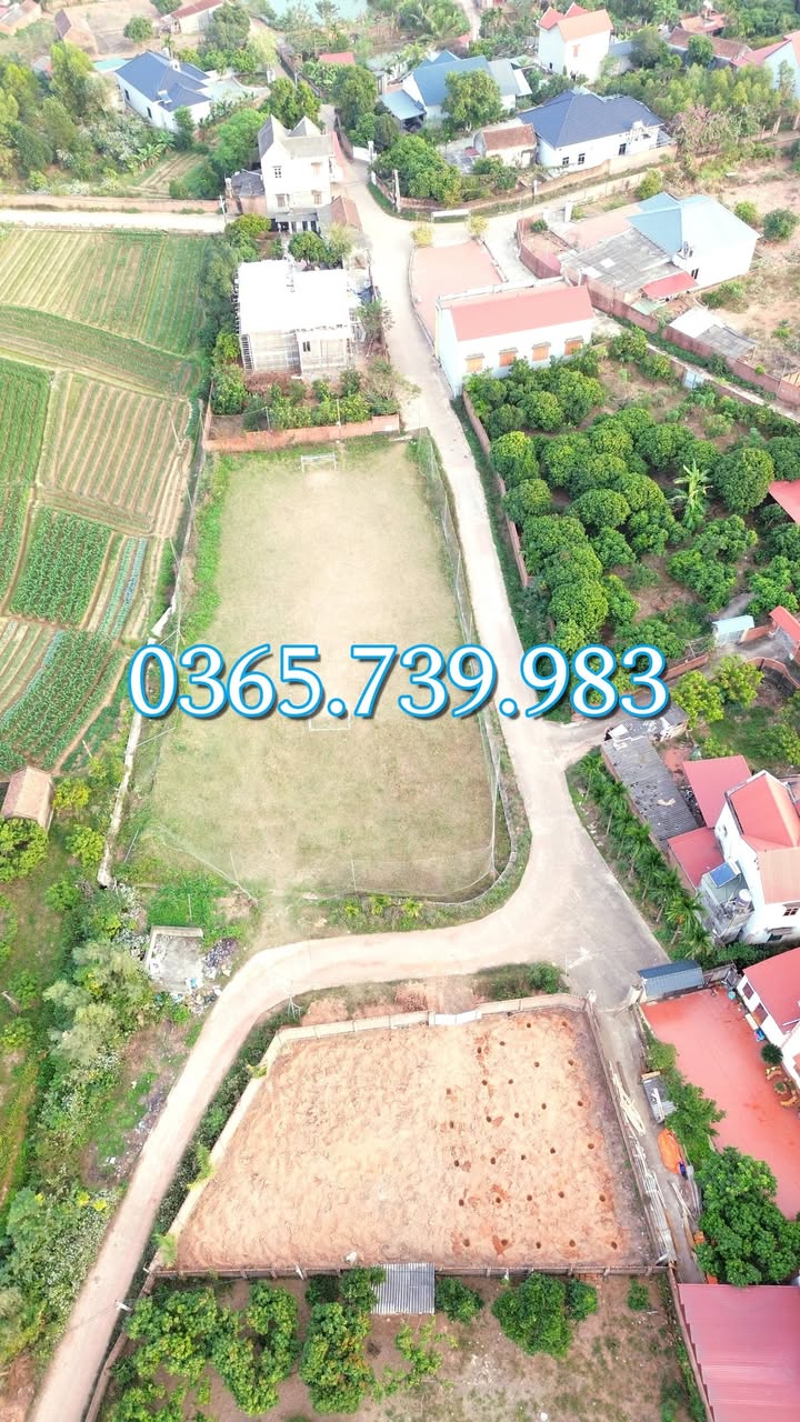 Đất nền Thái Đào, Lạng Giang 491m² giá 3.5 tỷ - Lô góc đẹp, vị trí tiềm năng!