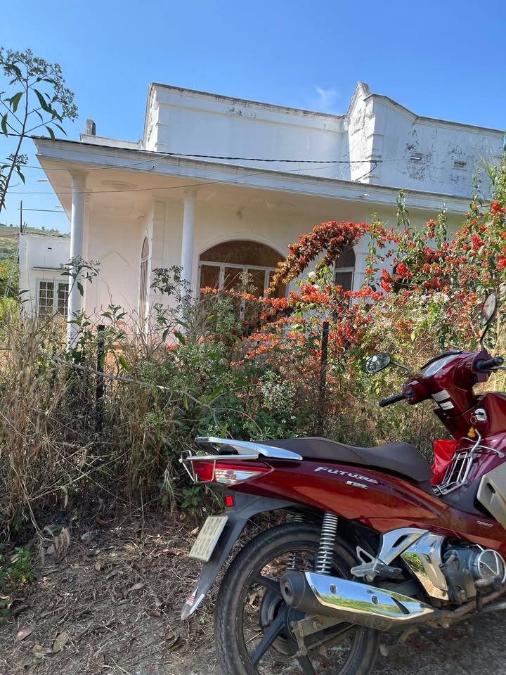 Đất nền 1381m² Thị trấn Nam Ban - Giá 3 tỷ - Sổ đỏ chính chủ