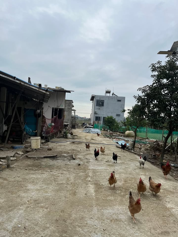 Đất nền Nam Sơn, Hòa Tiến 120m² giá chỉ 1.2 tỷ - Cơ hội không thể bỏ qua!