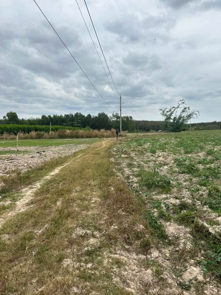 Đất ở Xã Phước Vinh, Huyện Châu Thành, Tây Ninh 19,200m² - Cơ hội đầu tư hiếm có!