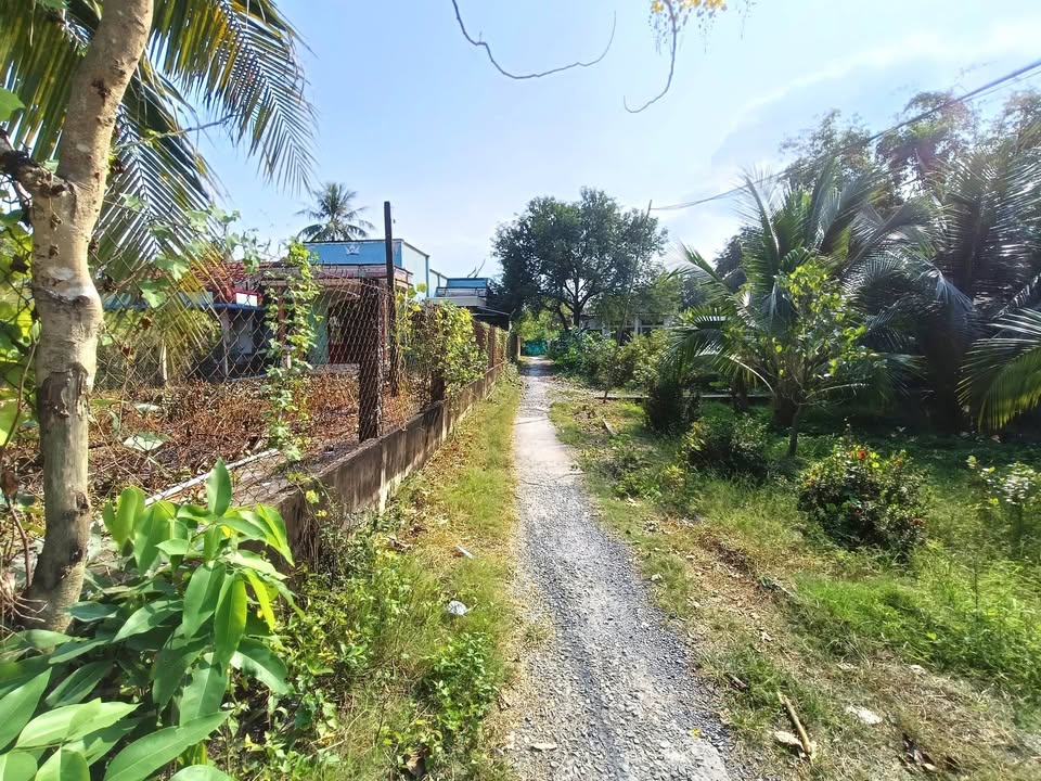 Nhà vườn 464m² tại Ấp Lợi An, Gò Công Tây - Giá chỉ 650 triệu!