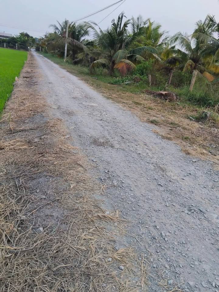 Đất nền ấp Thạnh Tri, Xã Long Bình, 245m² giá 380 triệu - Đầu tư sinh lời tốt!