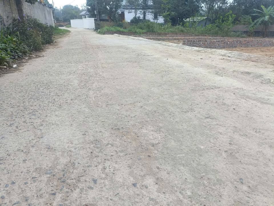 Đất thổ cư 175m² tại Thôn Cổng Sau, huyện Tam Dương - Đường thông tứ phía, giá thỏa thuận!