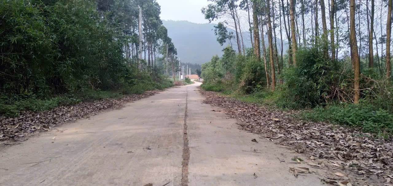 Đất nền Sông Lô 200m² giá 800 triệu - Cơ hội đầu tư sinh lời!