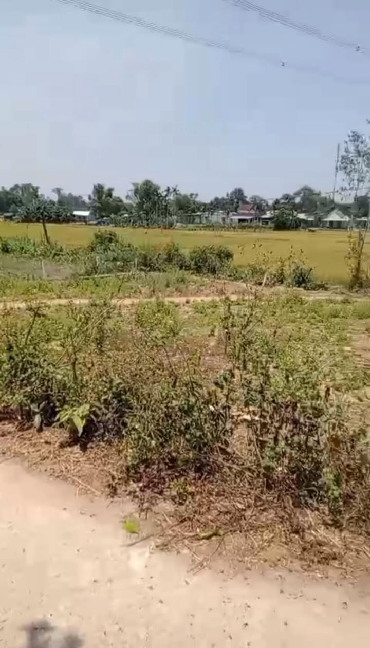 Đất nền xã Tam Thanh, Tam Kỳ 132m² giá chỉ 400 triệu - Cơ hội đầu tư tuyệt vời!