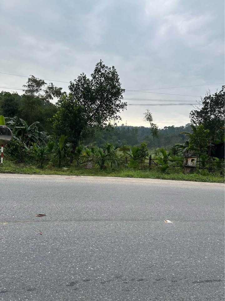 Đất nền mặt tiền đường Minh Mạng, Thủy Xuân 1000m² - Đầu tư homestay lý tưởng!