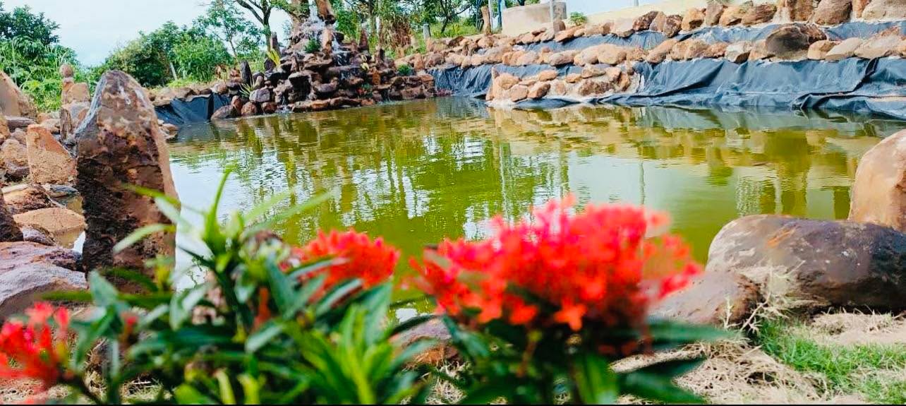 Đất vườn 3,7 sào tại Thôn 6, Hòa Nam, Di Linh - Giá 2,3 tỷ - Pháp lý rõ ràng!