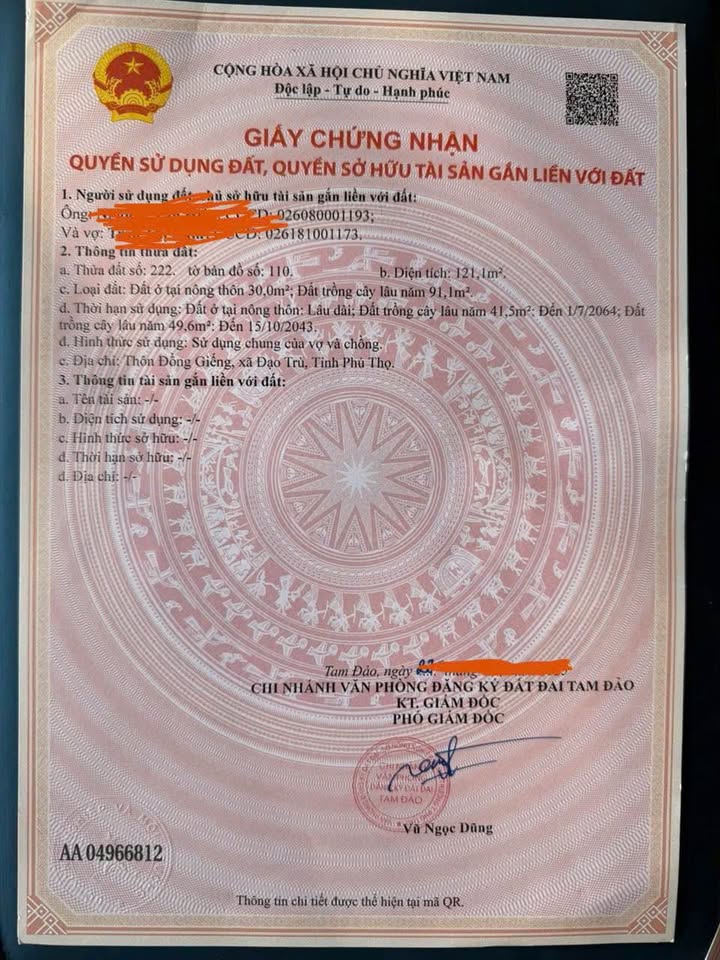 Đất thổ cư 121,1m² tại Đồng Giếng, Tam Đảo giá chỉ 990 triệu - Vị trí kinh doanh đắc địa!