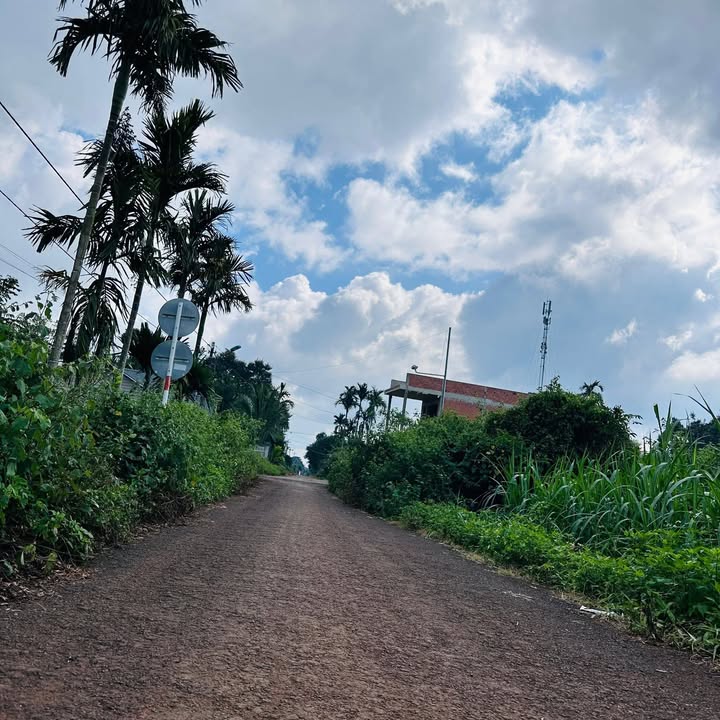 Đất hẻm 171 Nguyễn Thái Bình, Hòa Thắng 530m² giá 2.499 tỷ - Đầu tư sinh lời ngay!