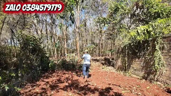 Đất nền xã Ia Phang 480m² giá 560 triệu - Nở hậu 10m, gần uỷ ban và trường học!