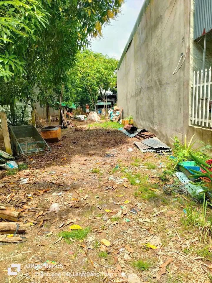 Đất nền 150m² tại Ấp Tịnh Mỹ, Phường Cao Lãnh chỉ 1.15 tỷ - Hướng Đông Bắc, ô tô vào tận nơi!