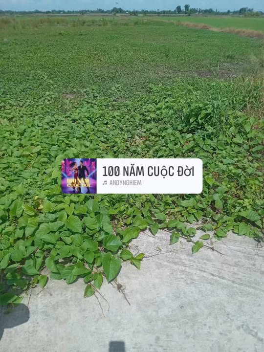 Đất nền Phước Tân, Giục Tượng 45m² giá 250 triệu - Sổ đỏ chính chủ, mặt tiền thoáng mát!