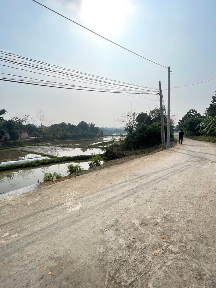 Lô đất 740m² tại Việt Trì - Giá chỉ 3.626 tỷ - Cơ hội đầu tư hiếm có!