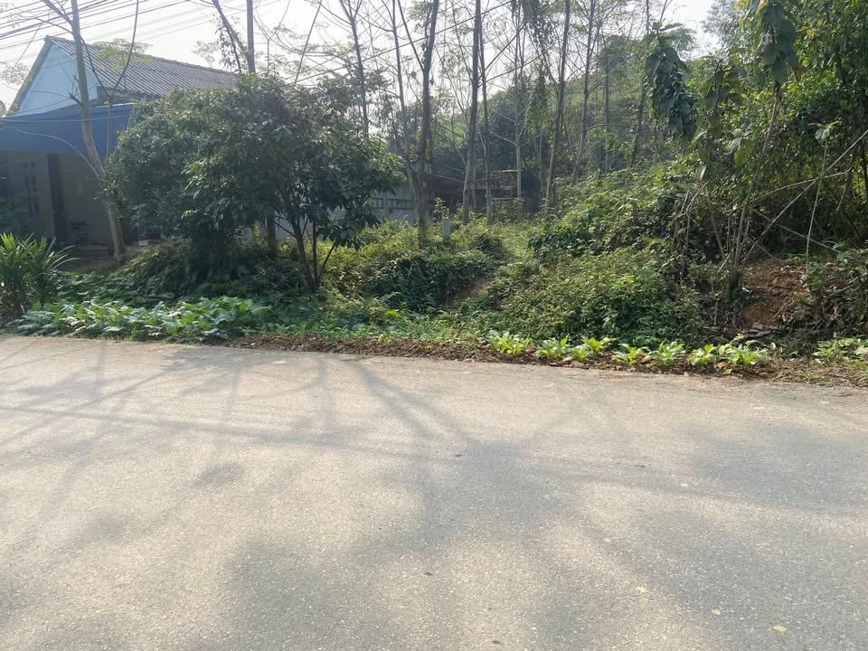 Đất thổ cư 200m² tại xã Hiền Lương, Phú Thọ giá chỉ 800 triệu - Mặt tiền 8m, đường nhựa rộng!