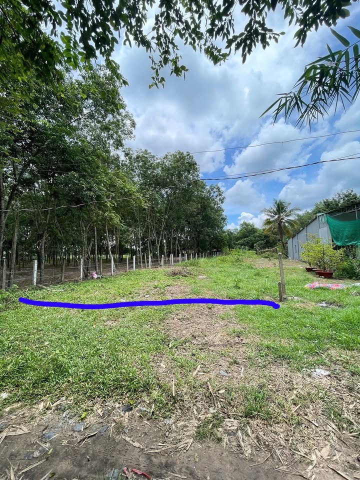 Đất nền 28 Bời Lời, Phường Ninh Sơn, 854m² giá 850 triệu - Đầu tư ngay!