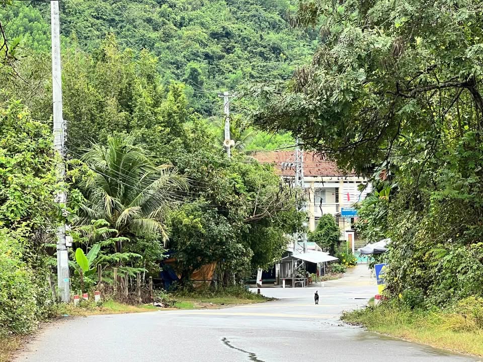 Đất nền Khánh Phú 1700m² giá 3.4 tỷ - Tiềm năng đầu tư vượt trội!