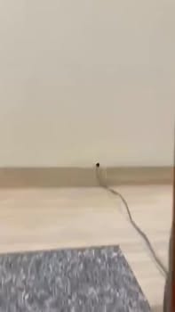 Nhà 2 tầng tại Quang Trung, Hải Dương 43.2m² giá 2.05 tỷ - Đầy đủ nội thất, chỉ việc vào ở!