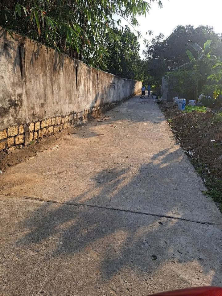 Đất nền Thôn Liên Thành 100m² giá chỉ 740 triệu - Cơ hội đầu tư tuyệt vời!