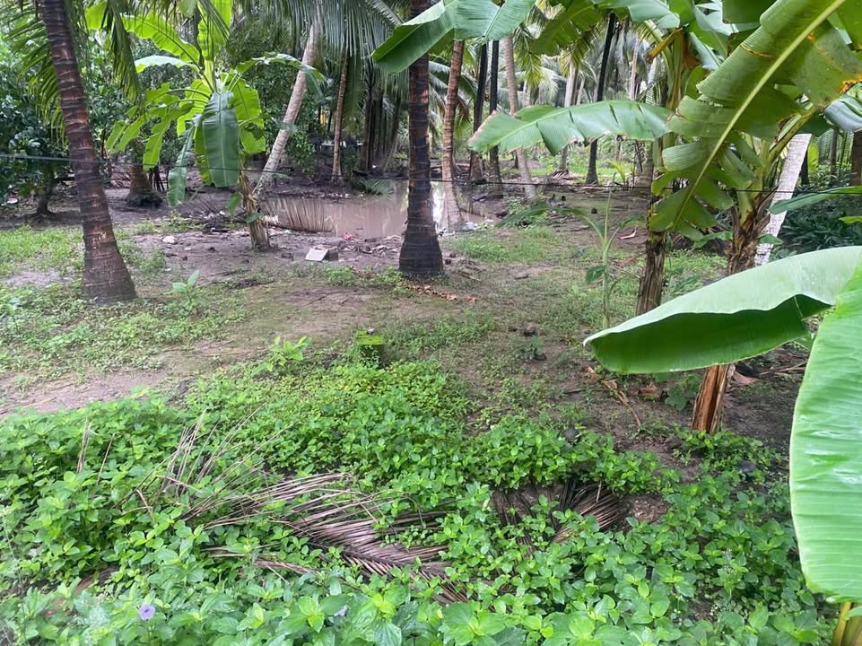 Đất mặt tiền đường Nguyễn Đáng nối dài 980m² giá 850 triệu - Thương lượng ngay!