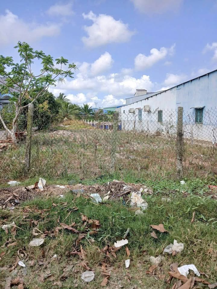 Đất nền Giồng Cát, Kiên Giang 901m² giá 1.05 tỷ - Phù hợp làm kho, xưởng