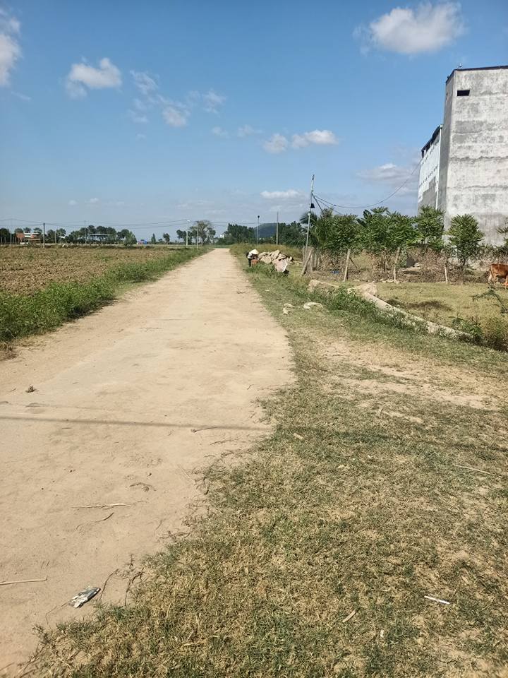 Đất nông nghiệp 600m² tại Xã Ia Broăi, Huyện Ia Pa - Giá chỉ từ 100 triệu!