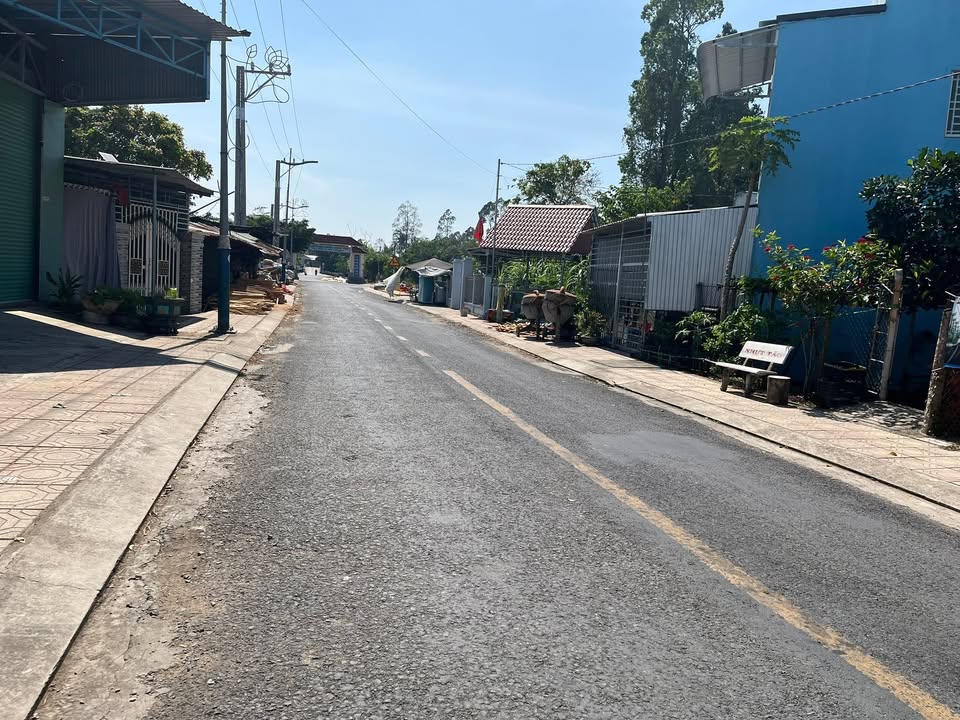 Nhà đẹp Định Yên, Lai Vung 194m² giá 1.6 tỷ - Tiềm năng kinh doanh vượt trội!