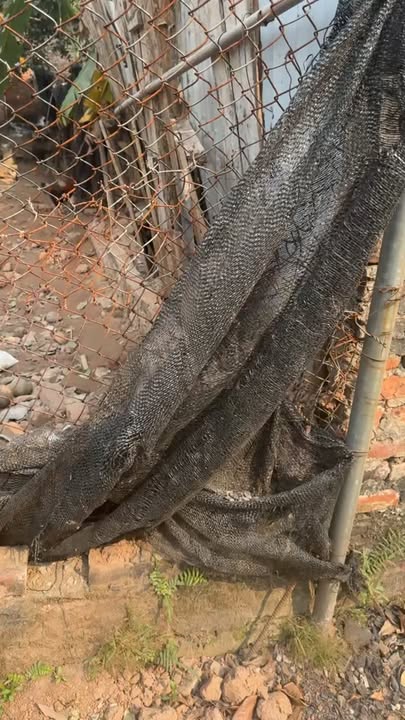 Đất thổ cư Thọ Xuân, Đan Phượng 60m² giá chỉ 300 triệu - Cơ hội đầu tư tuyệt vời!