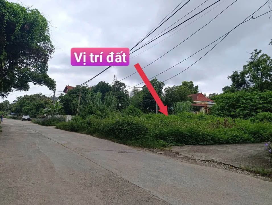 Đất nền lô góc 91,5m² Xuân Trường, Tam Dương giá 1.6 tỷ - Vị trí kinh doanh sầm uất!