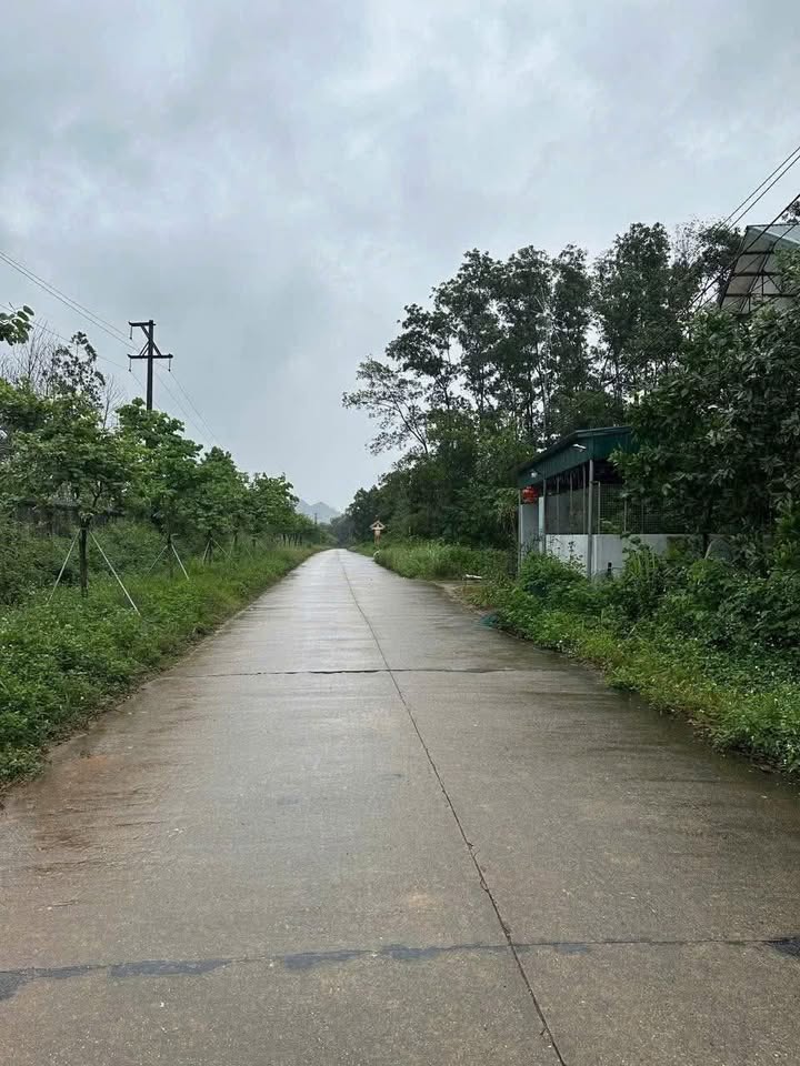 Đất thổ cư 300m² tại phường Tây Hoa Lư 1450m² - Đầu tư lý tưởng!